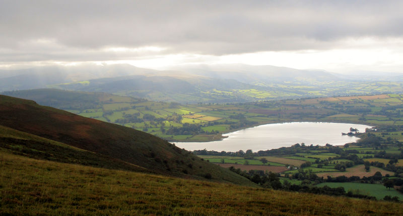 view